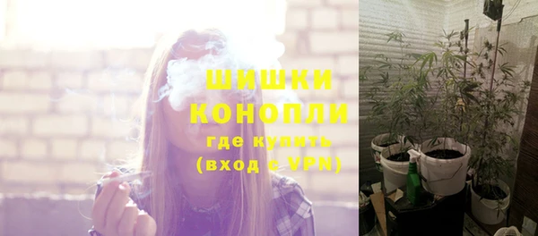 ПСИЛОЦИБИНОВЫЕ ГРИБЫ Алзамай