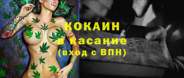 ПСИЛОЦИБИНОВЫЕ ГРИБЫ Алзамай