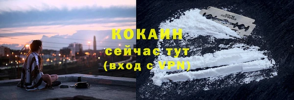 ПСИЛОЦИБИНОВЫЕ ГРИБЫ Алзамай