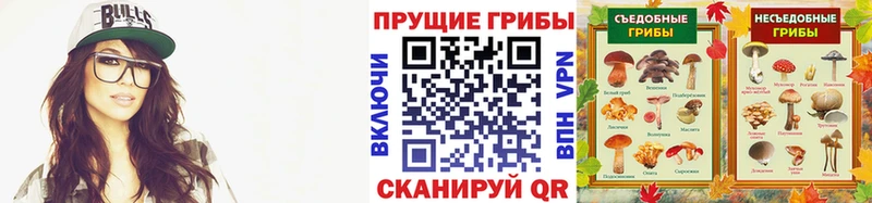 Псилоцибиновые грибы мухоморы Углич